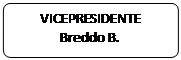 Elaborazione alternativa: VICEPRESIDENTE
Breddo B.
